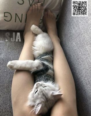 搞肥熟大妈_超清电视剧在线观看