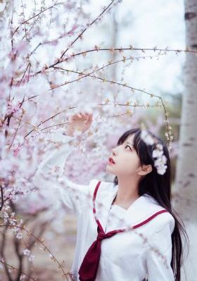 谁寄锦书来完整版免费_短视频完整无删减版